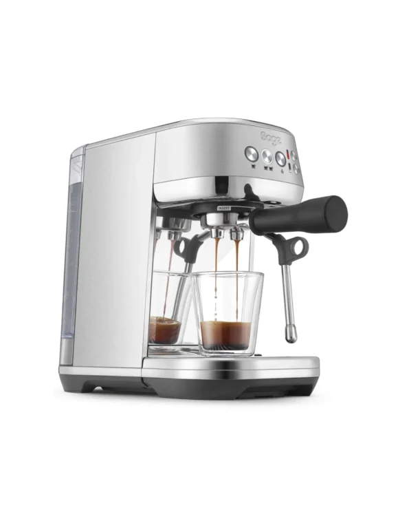 Sage the bambino plus 2